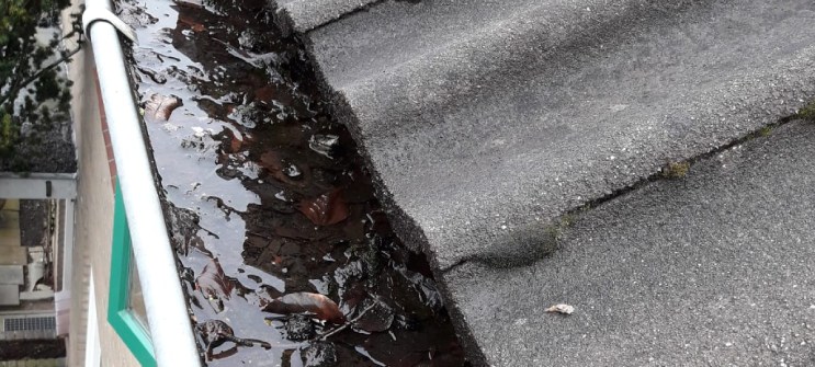 Daklekkage in Drenthe kan verschillende oorzaken hebben, waaronder een verstopte dakgoot.